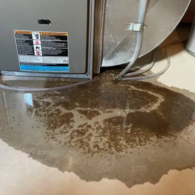 Appliance Leak Cleanup in China Grove, NC